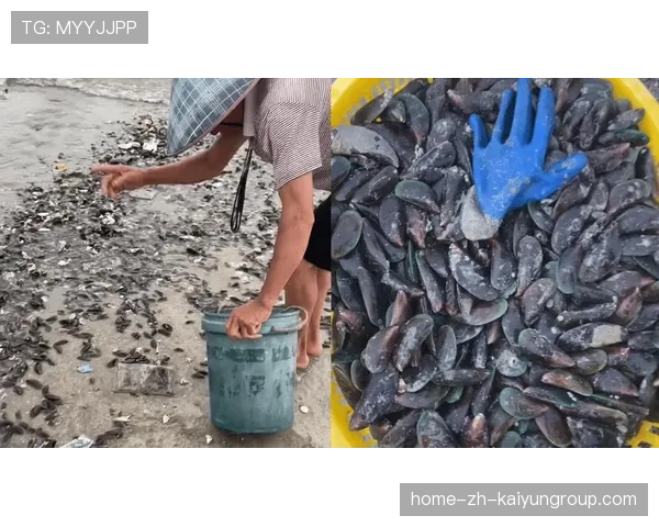 台风后惠州赶海火爆，海鲜成热点话题，惠州赶海时间表2020